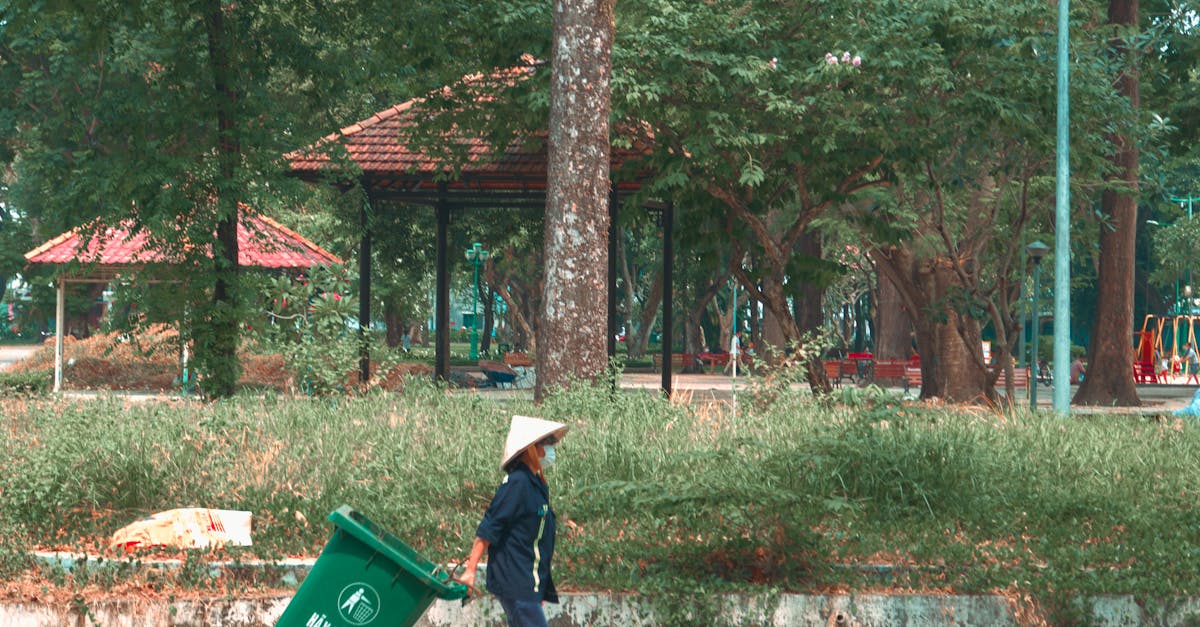 Lawn Upkeep