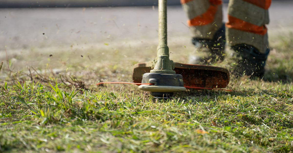 Mowing the Lawn