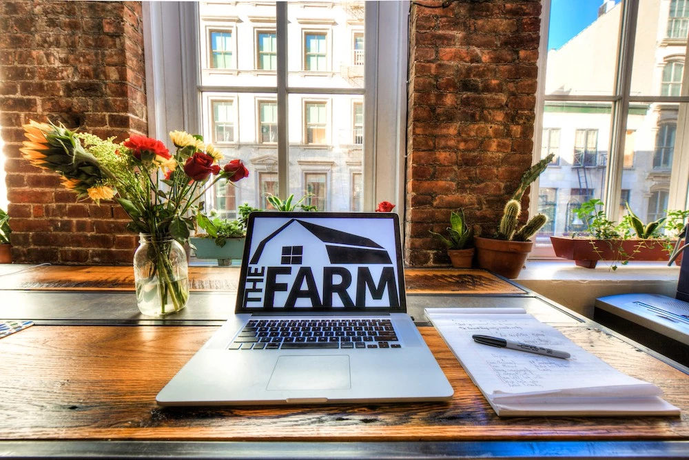 5c4b3b1a4ccd7d142 at The Farm Soho  Coworking area in New York City, United States