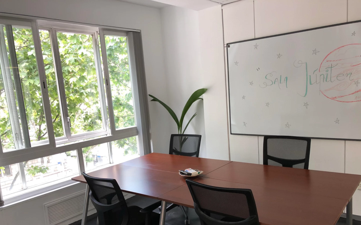 5cc1bb6c425243295 at Oxygen Workspace Coworking area in Madrid, Spain
