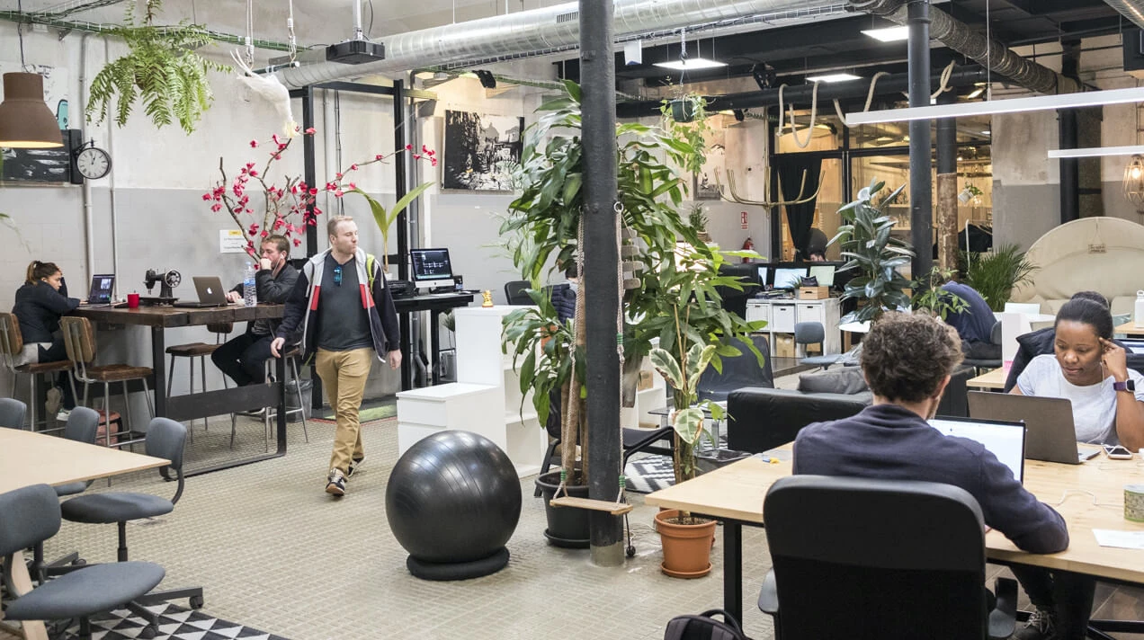 6153052ea9caa9fc3 at La Vaca Coworking Coworking area in Barcelona, Spain