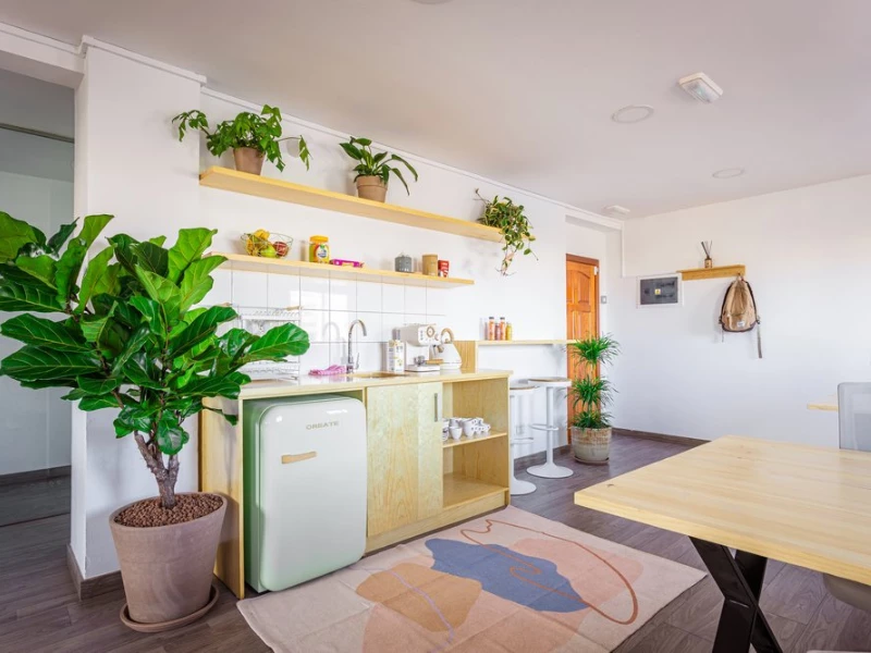 637bc48356e2e59c3 at Coco Tropical Coworking Coworking area in Las Palmas de Gran Canaria, Spain