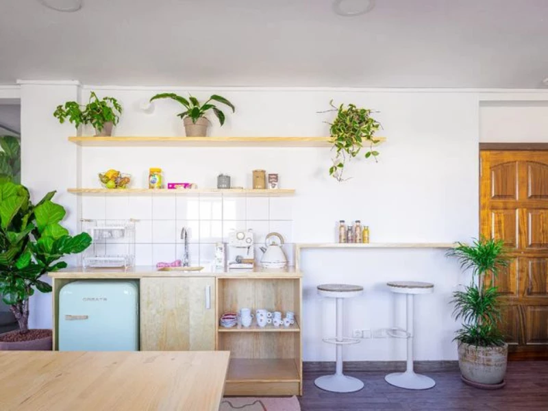637bc4859e2a202e7 at Coco Tropical Coworking Coworking area in Las Palmas de Gran Canaria, Spain
