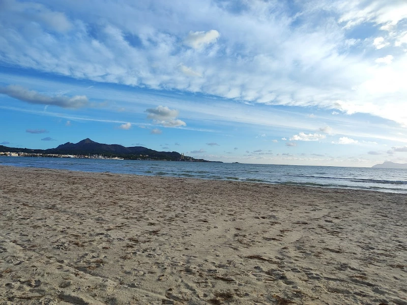 639093e4d81c1ca9c at Cocowork Alcudia Beach Coworking area in Alcúdia, Spain