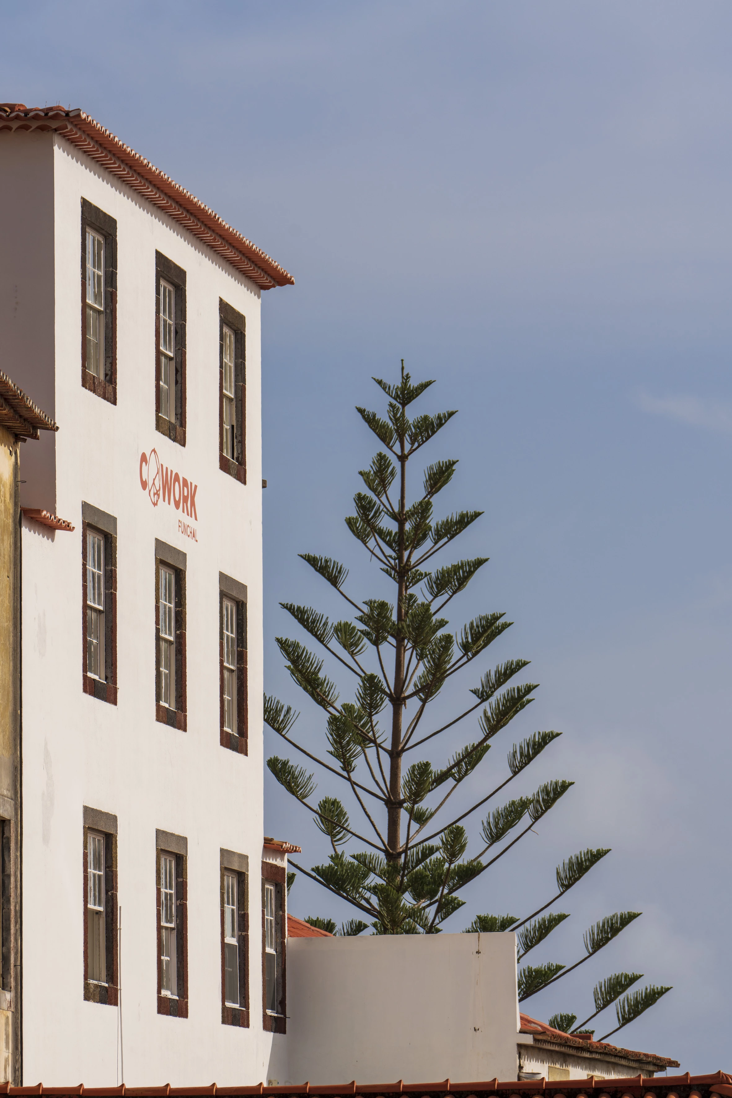 66193cad34077a884 at Cowork Funchal Coworking area in Funchal, Portugal