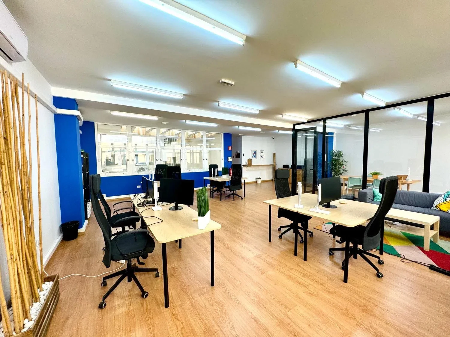 683898d831acc2ba5 at Dojo Blue Office in Las Palmas de Gran Canaria, España
