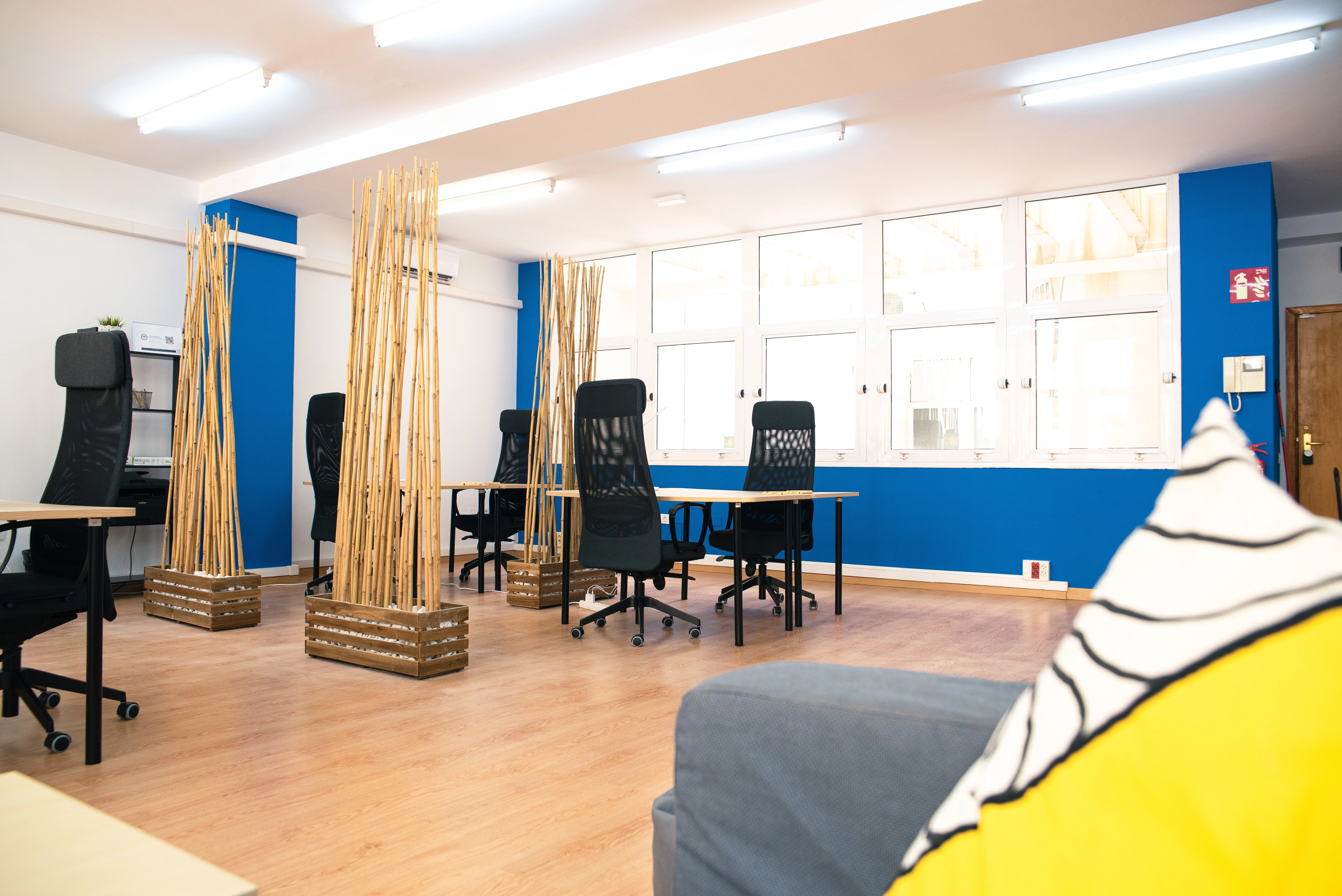 683898e149e062489 at Dojo Blue Office in Las Palmas de Gran Canaria, España