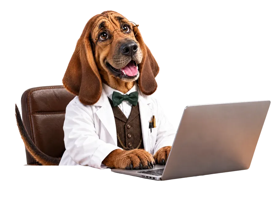 Insight Data bloodhound working on a laptop