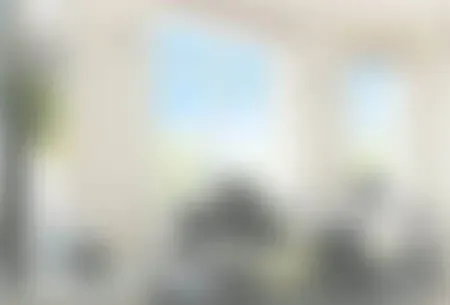 Placeholder image (blurred)