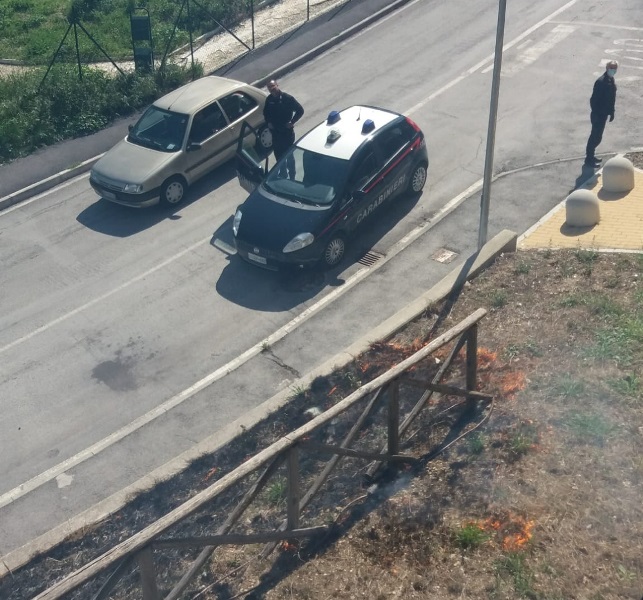 Prende fuoco area verde in via Campo Boario via campo boario incendio