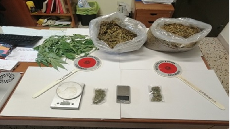 disoccupato con reddito di cittadinanza arrestato per detenzione e spaccio di marijuana