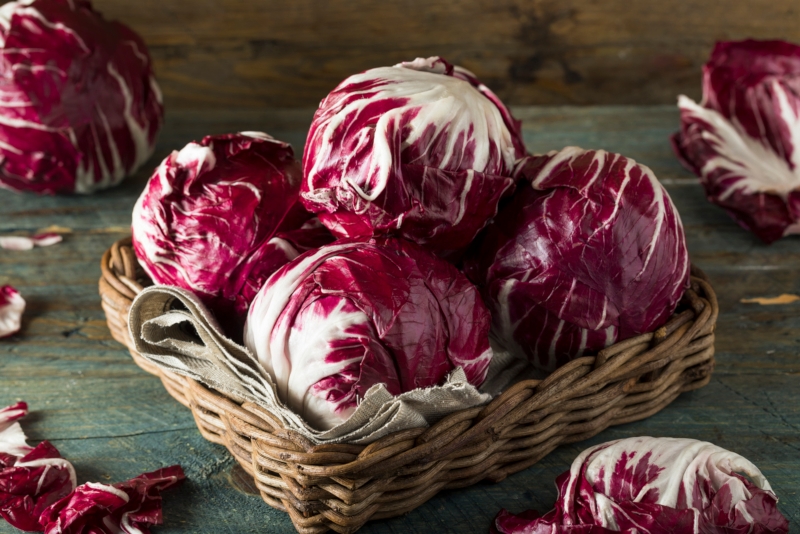 Distribuzione radicchio mercoledì a Recanati
