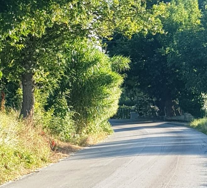 Ci scrive Lorenzo dall’Acquara….