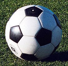 Anche Traini e Carnevali restano al Recanati Calcio a 5