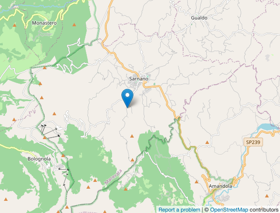 La terra ha ripreso a tremare scossa teremoto