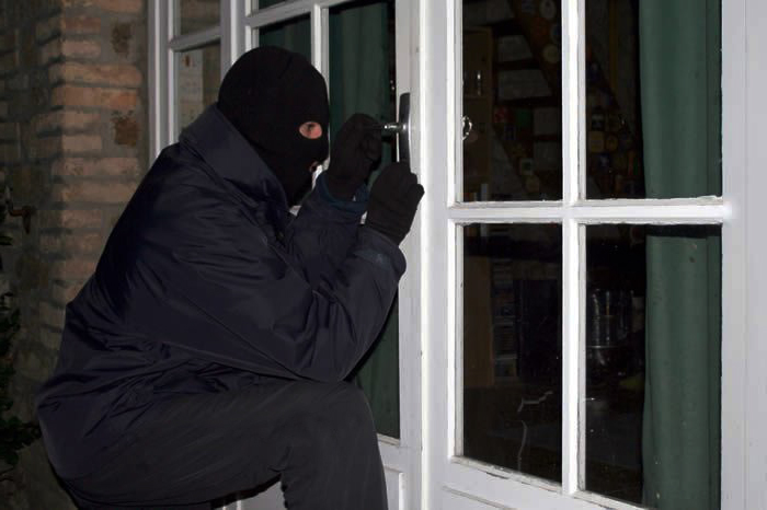 Topi di appartamento a Porto Recanati