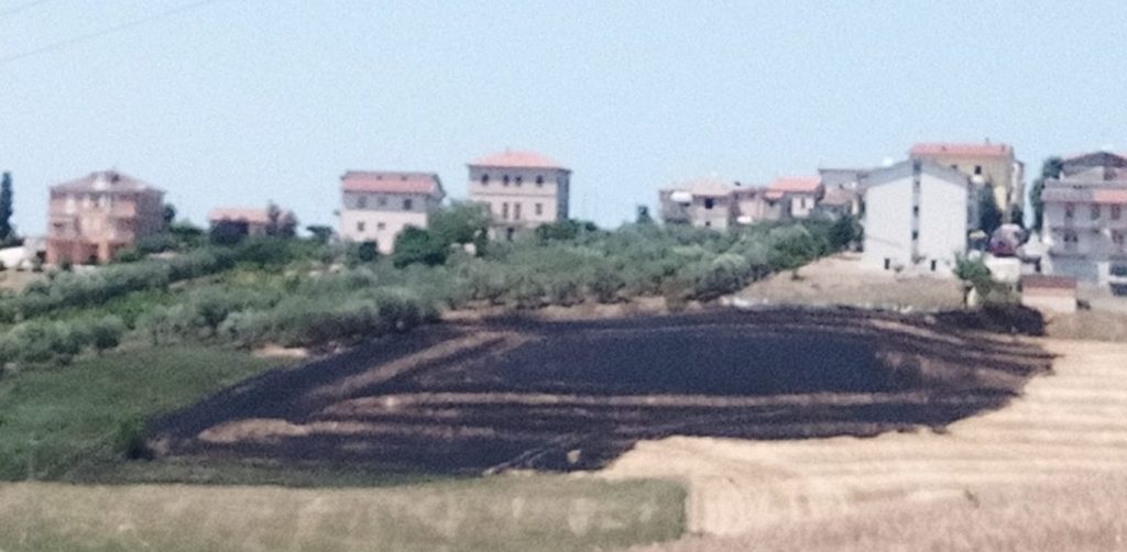 Montefano. Fiamme in un campo di grano