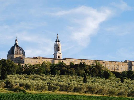 Prima Loreto denuncia la mancata manutenzione di alcune aree verdi