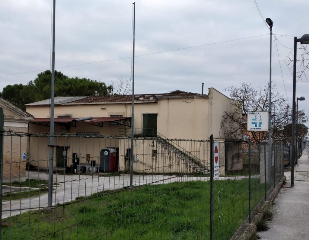 Montecassiano: Premiata la collaborazione tra il comitato “Voce libera Montecassiano” ed il gruppo “vivere Montecassiano”.