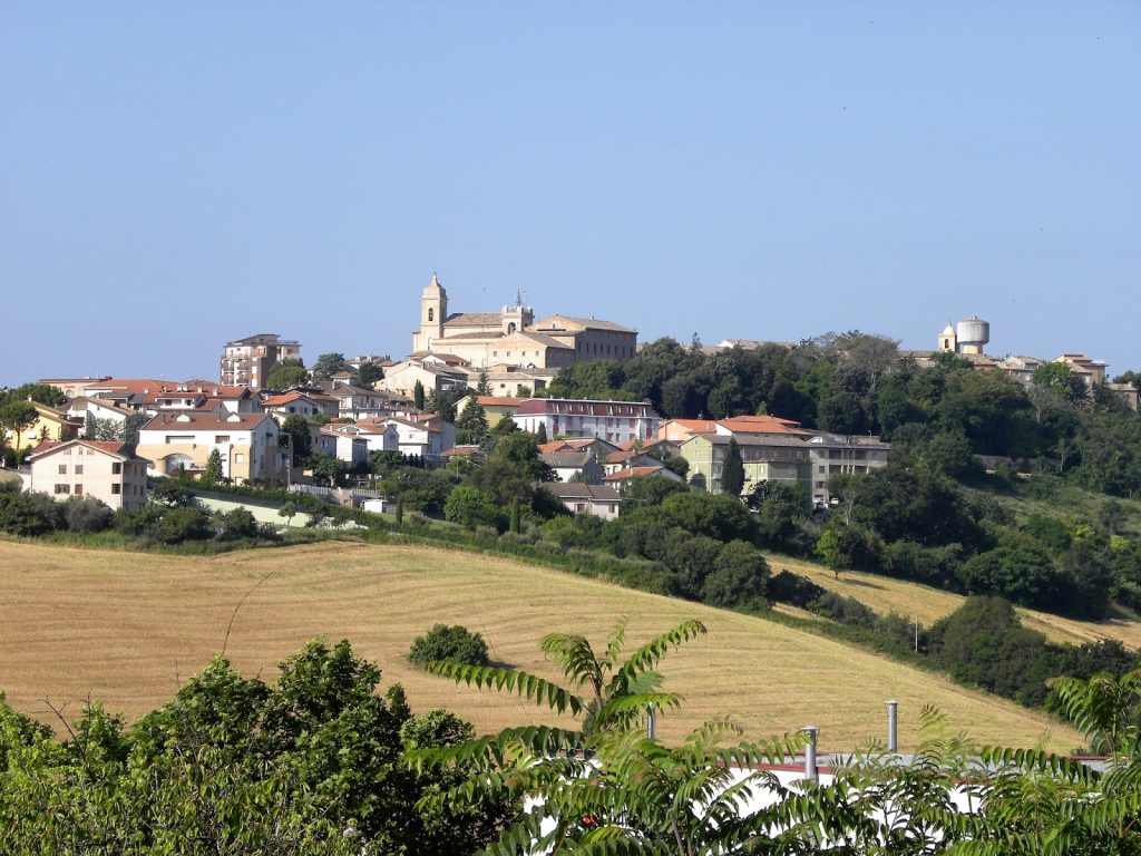 Montefano: ordinanza del sindaco per la manutenzione delle aree private