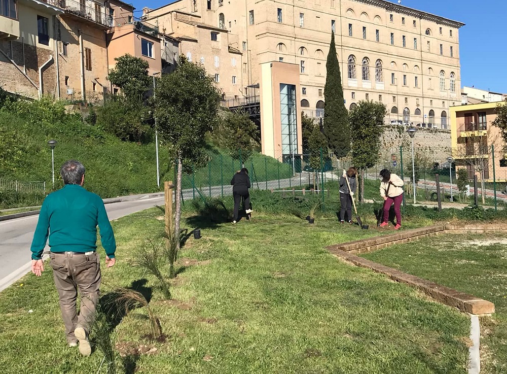 Recanati si colora di giallo. Leopardi e la ginestra