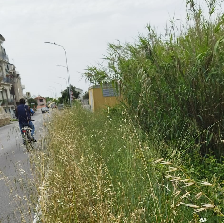 Recanati: il taglio dell’erba lungo le strade fra sicurezza e risorse di bilancio. Il problema sollevato dal consigliere Stefano Miccini