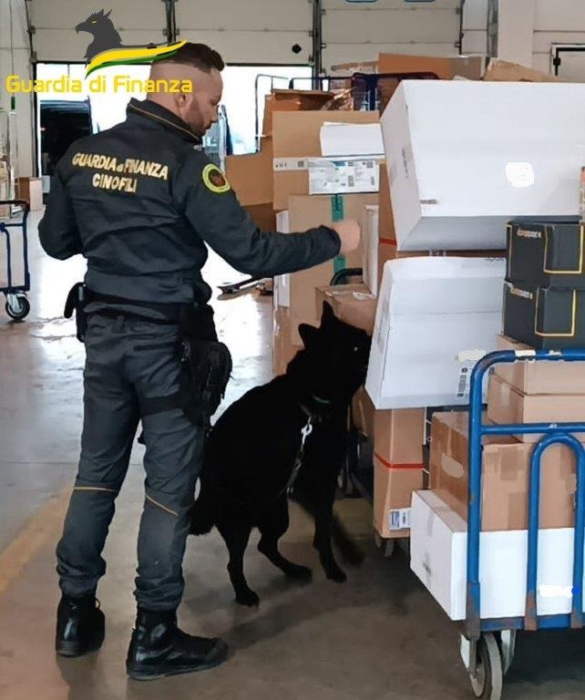 Gdf Macerata: sequestrati oltre 37 chilogrammi di marijuana