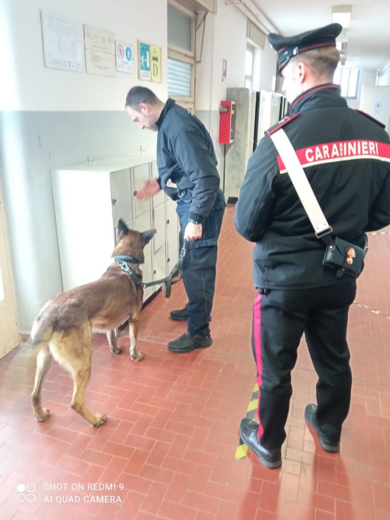Progetto “scuole sicure”. Carabinieri in azione con i cani antidroga