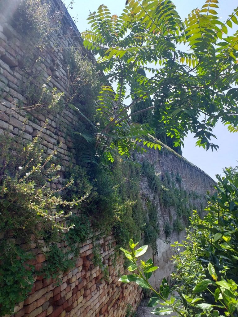 Per Fratelli d’Italia a Recanati manca la manutenzione del verde pubblico