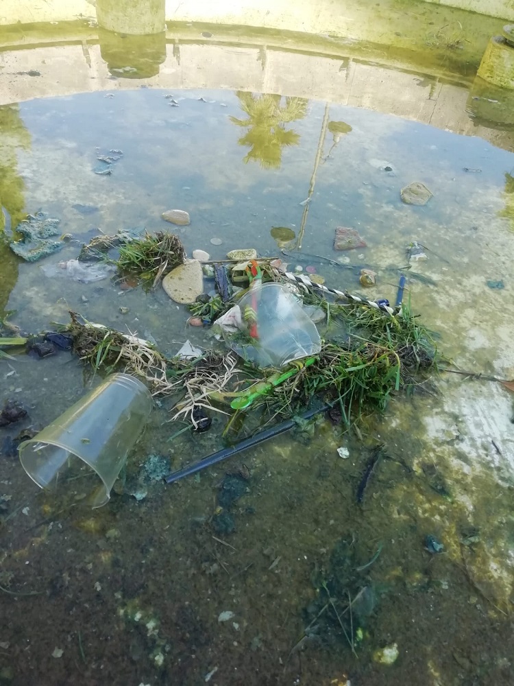 Porto Recanati/Loreto. Piccoli vandali crescono