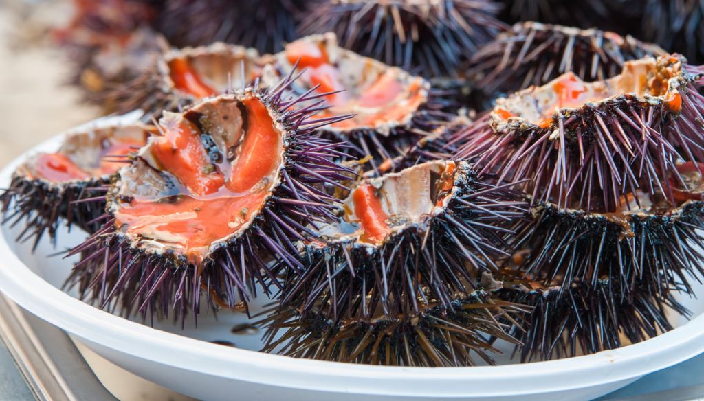 Pesca di frodo: Guardia di Finanza e Guardia Costiera sequestrano oltre 6000 esemplari di ricci di mare