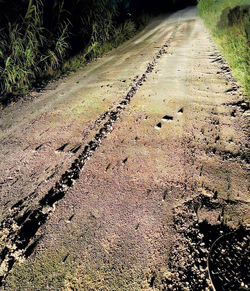 Recanati Insieme presenta un’interrogazione per comprendere come il Comune intende affrontare la questione delle strade rurali e vicinali