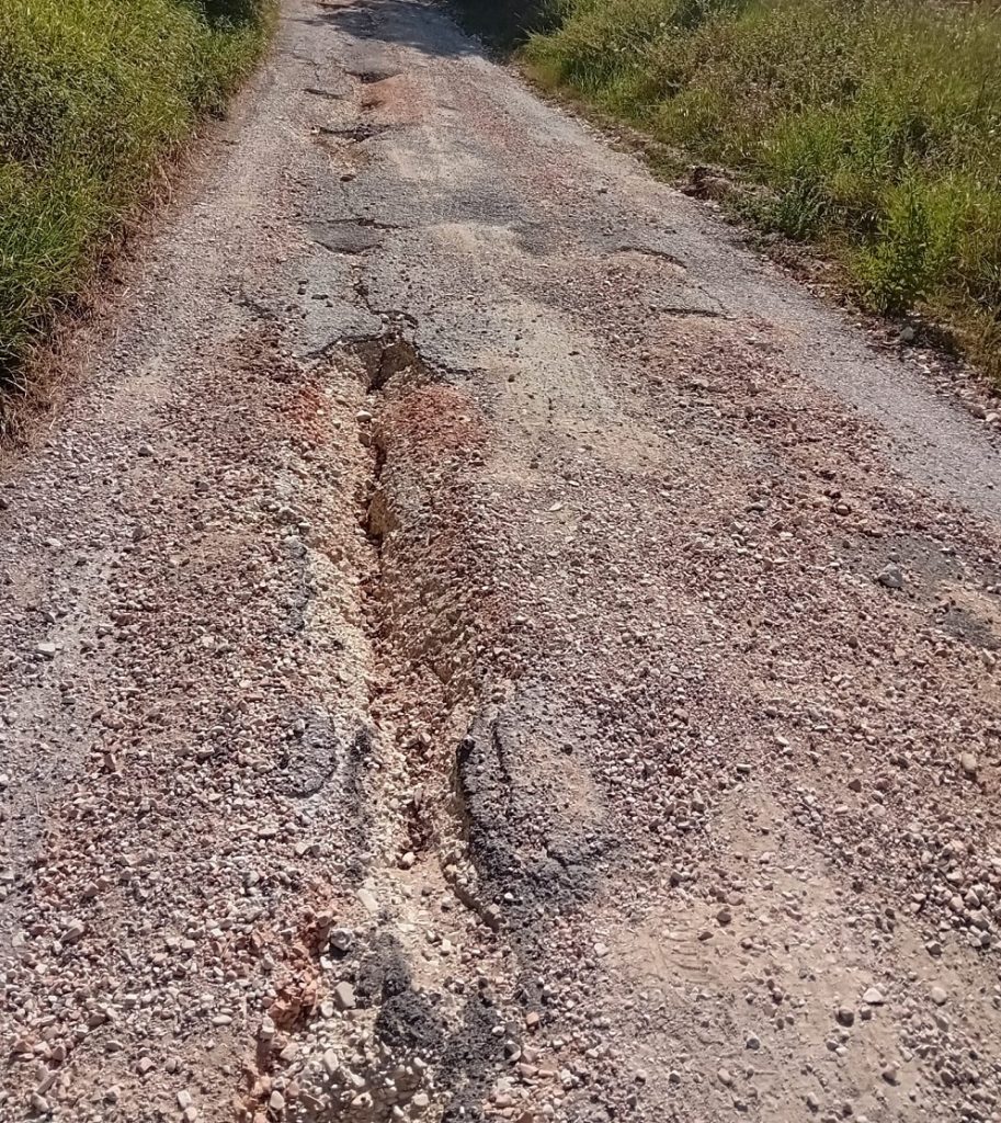 Recanati: per il canile girare all’8° buca e scendere tutto il canyon…