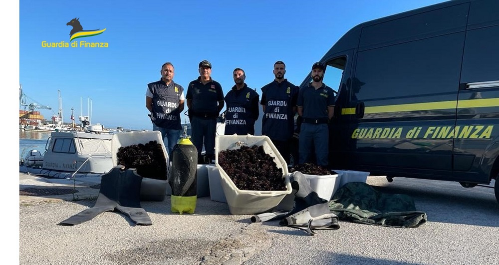 Ancona. Fermati tre sub dalla Guardia di Finanza e sequestrati 10 mila ricci di mare