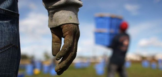 Migranti 2023: dopo la pandemia, riprende il lavoro ma sempre più povero