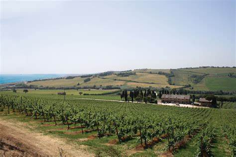 Potenza Picena. Liquidazione Casalis Douhet, il sindaco scrive alla Sauie e alla Regione Campania