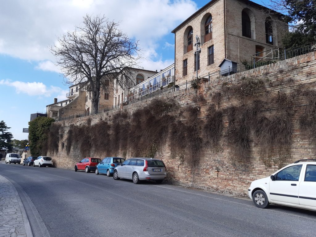Recanati: ma l’erba sulle mura cittadine è biodiversità o solo erbaccia da tagliare?