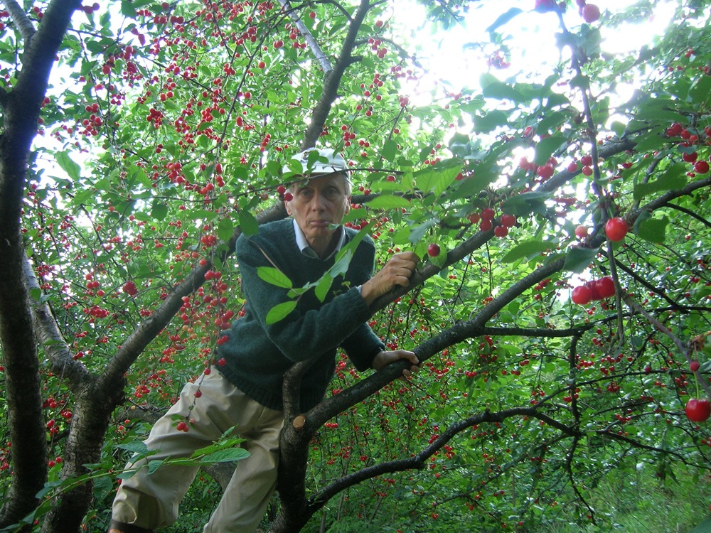 Recanati. Il ricordo di Mauro Maggini di Paola Agostinelli, Maria Ricci e Mauro Marconi