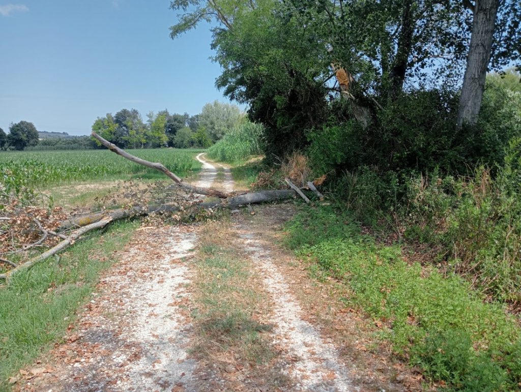 Recanati. Finalmente liquidati gli espropri per la pista ciclabile del Potenza