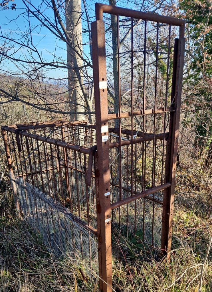 San Ginesio. Sequestrata una trappola illegale per la cattura dei cinghiali