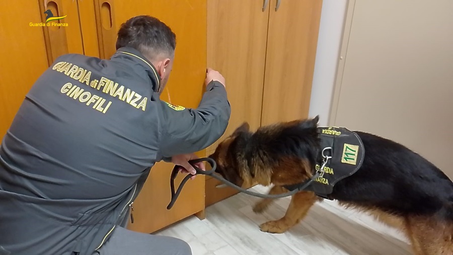 Blitz antidroga a Civitanova Marche. Arrestato un uomo in possesso di oltre un chilo di hashish