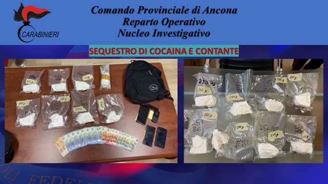 Carabinieri Ancona. Eseguite 8 ordinanze di custodia cautelare per associazione finalizzata al traffico di stupefacenti