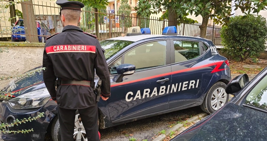 Investe e uccide un cagnolino davanti alla famiglia e fugge a forte velocità: 29enne rintracciato e denunciato dai Carabinieri