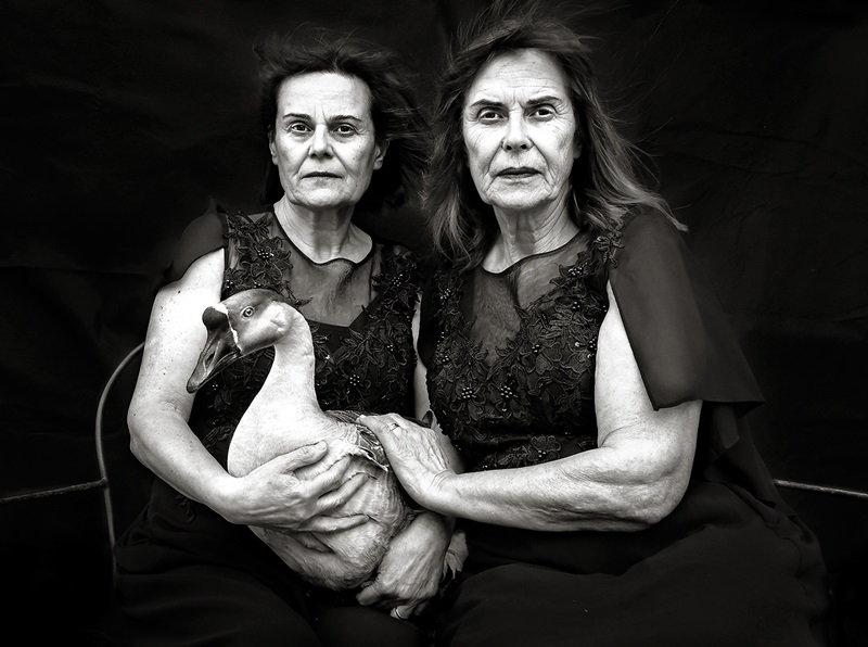 Montefano. Uomo Animale. Sara Aliscioni e le ambiguità dell’affetto