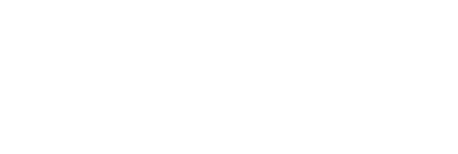 logo Cashless Poland Partners