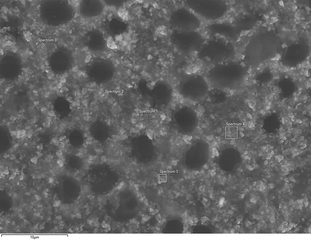 SEM image of a material region analysed using EDS elemental mapping