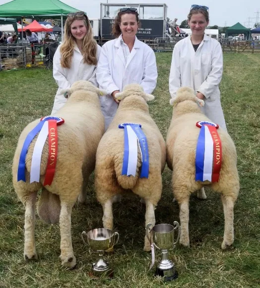 Coombe Farm and Stewdon Farm - Highampton