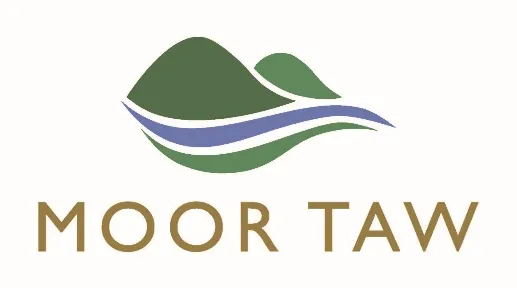 Moor Taw - Sampford Courtenay