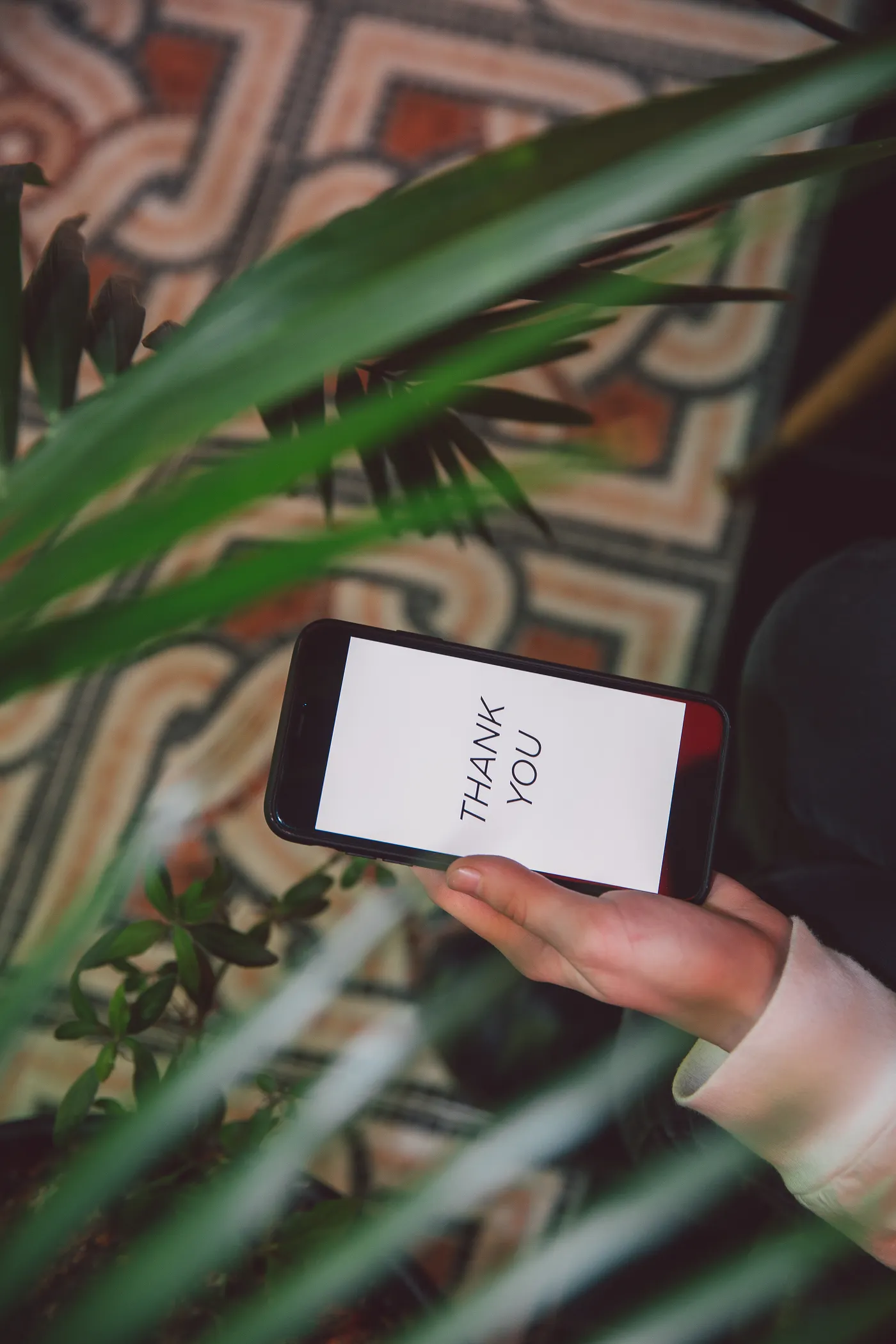 Photo by Polina Zimmerman from Pexels