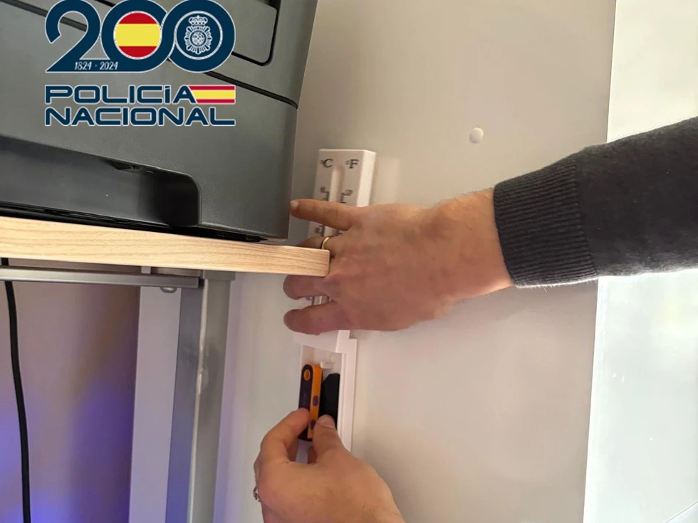 Desarticulan en Almería la mayor plataforma de distribución ilícita online de manga en español